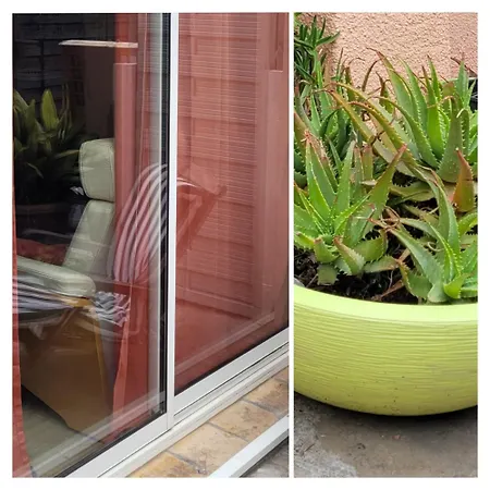 Apartment Cocoon Riviera St Raphael Et Jardin Prives